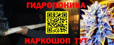 кокс Волжск
